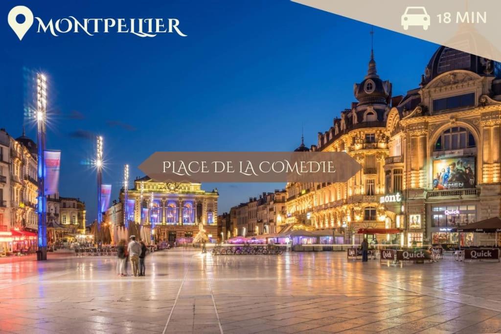 016- T2 Tropisme, Appart 1 Chambre,Clim,Wifi,Parking Montpellier Extérieur photo